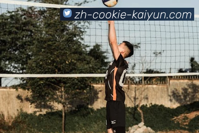 kaiyun平台生态图